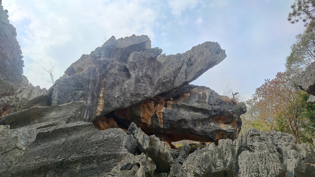 石林风景区的鳄鱼嘴