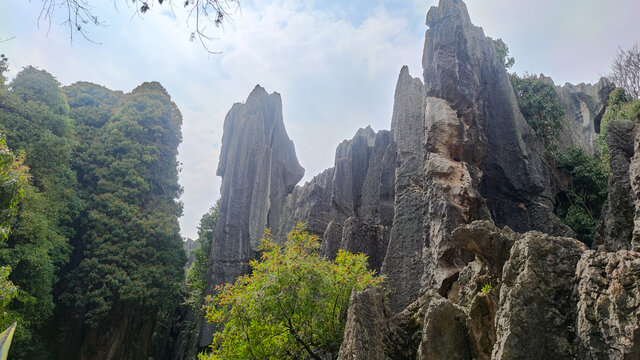 云南石林风景区