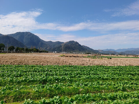 风景