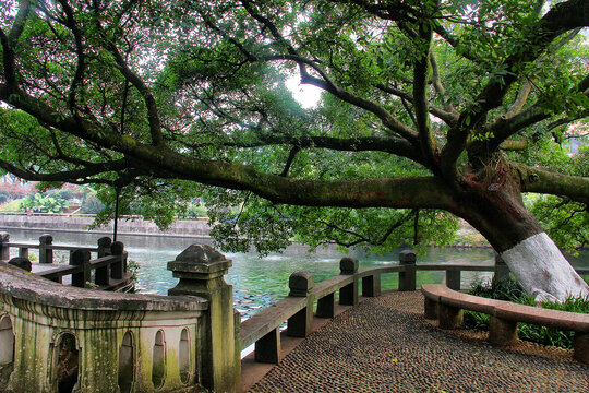 温州江心屿园林风景