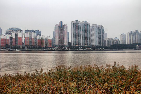 温州瓯江风景