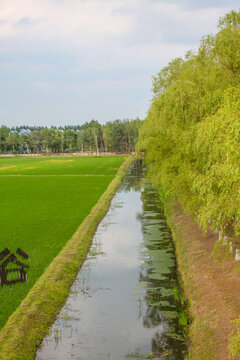 水渠