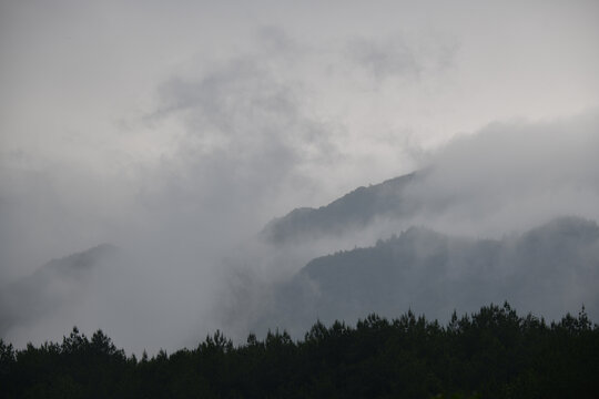 山中晨雾
