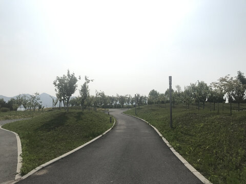 公园小路