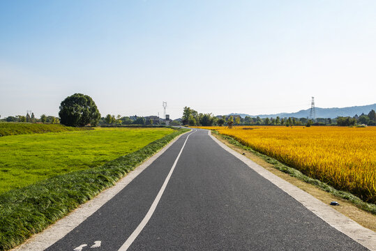 杭州良渚古城遗址公园