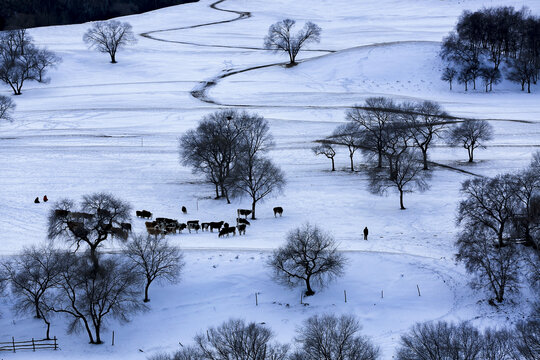 雪乡