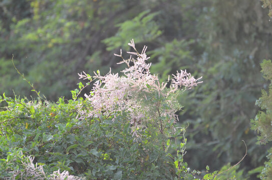 兰州北山风光