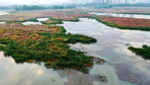 洛阳洛河湿地