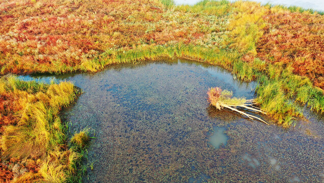 洛阳洛河湿地