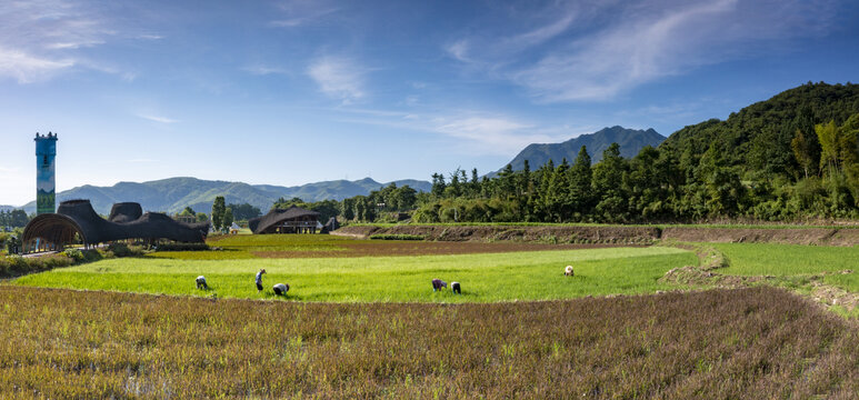 浙江湖州安吉余村新农村