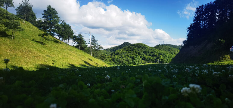 高山草原风光