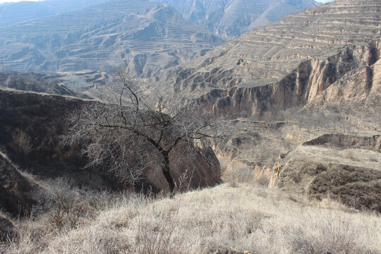 黄土高原山沟6