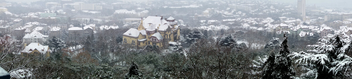 青岛迎宾馆雪景