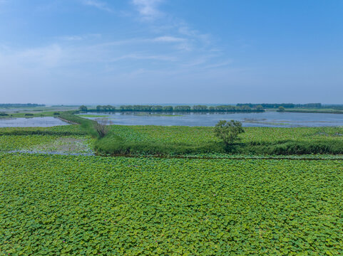 济宁微山湖微山岛