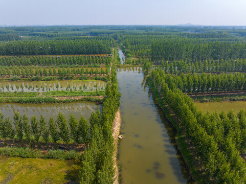 枣庄滕州微山湖红荷湿地