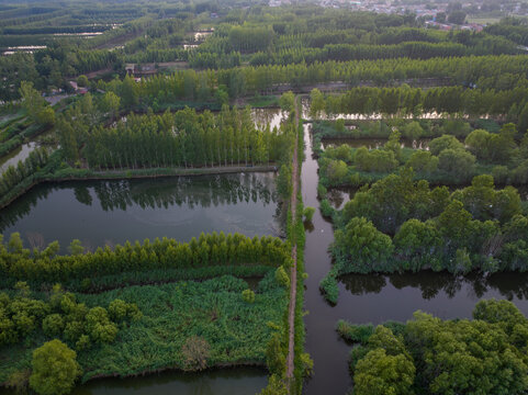 枣庄滕州微山湖红荷湿地