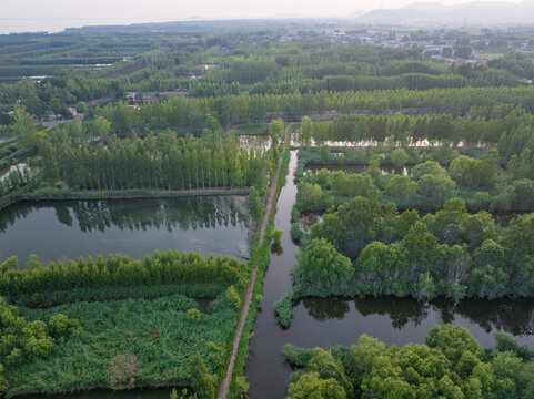 枣庄滕州微山湖红荷湿地