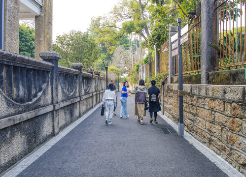 鼓浪屿泉州路柏油路与树木