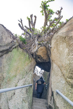 山缝间通向日光岩的石台阶路