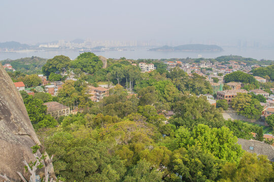 俯瞰鼓浪屿别墅住宅群与树林