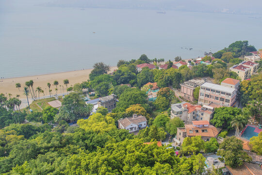 俯瞰鼓浪屿海边建筑群与树林