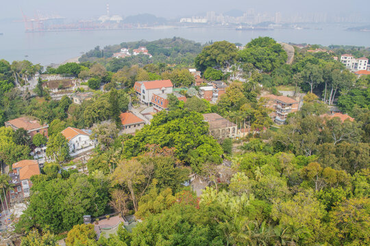 俯视鼓浪屿红楼建筑群与树林