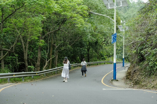 深圳马峦山郊野公园盘山路