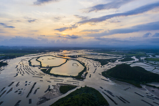 秋天的湿地