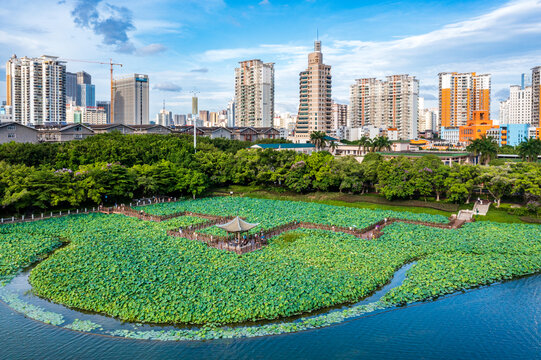 广西南宁南湖公园