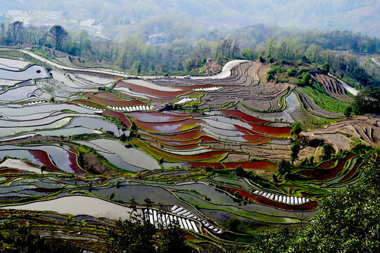 阮阳梯田