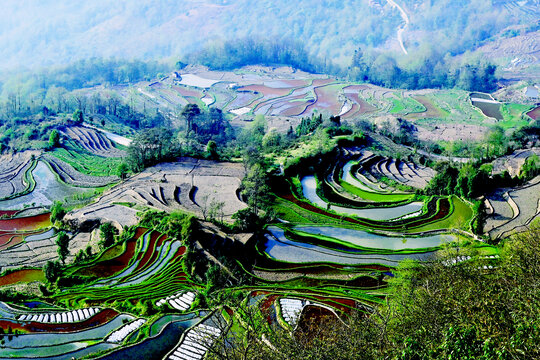阮陽梯田