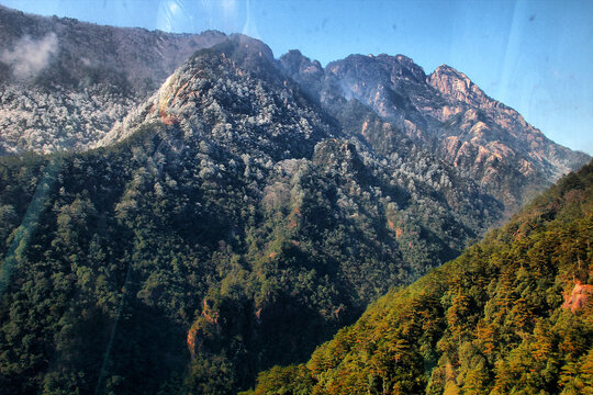 黄山远山雪松