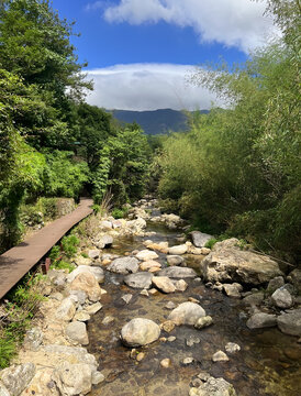 永安市天宝岩自然保护区