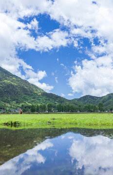 丽江文海秘境湿地