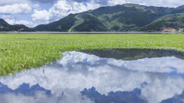 丽江文海秘境湿地