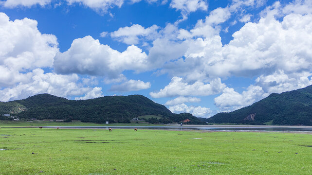 丽江文海秘境湿地