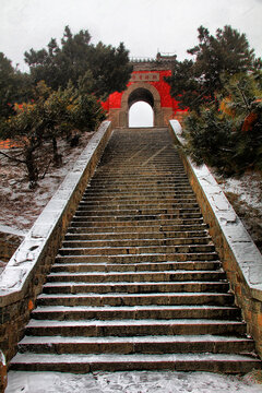 雪后泰山顶