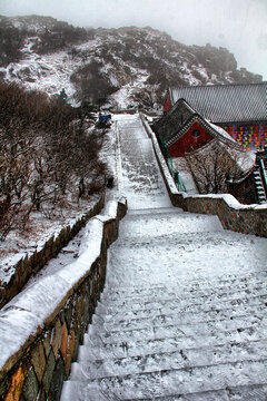 泰山顶雪景