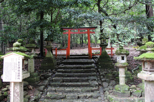 日本奈良春日大社本宫神社