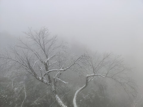 雪景