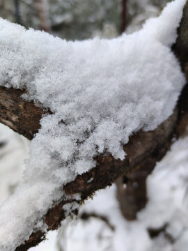 积雪