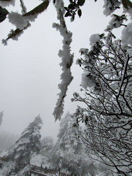 瓦屋山雪景