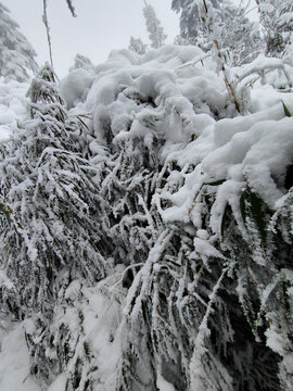 雪景