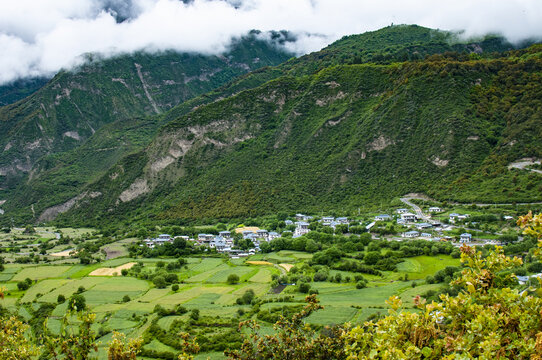 林芝鲁朗小镇