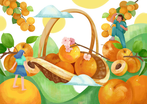 水果乐园主题插画杏子