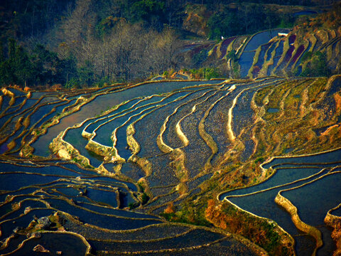 云南元阳梯田