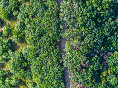 济南白云山越野路