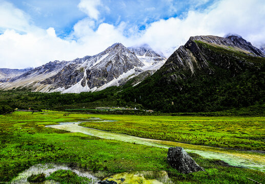 雪山草地