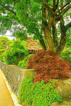 鹿苑寺