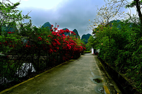 广西旧州风景